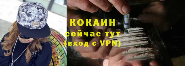 гашик Кулебаки