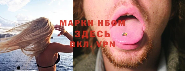 гашик Кулебаки
