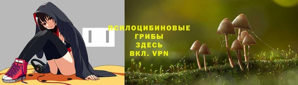 дурь Кукмор