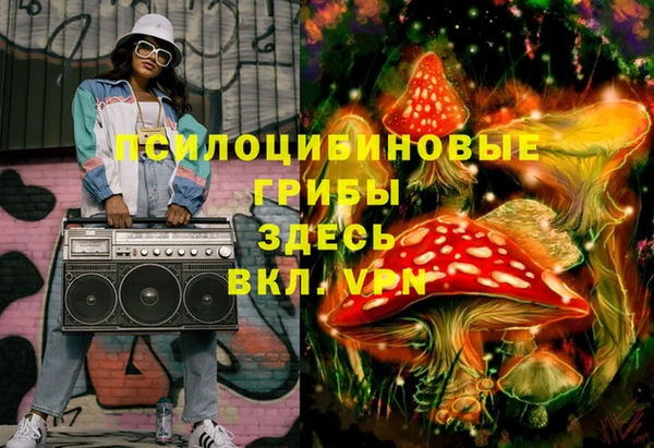 мескалин Лабытнанги