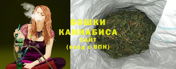 молекула духа Лагань