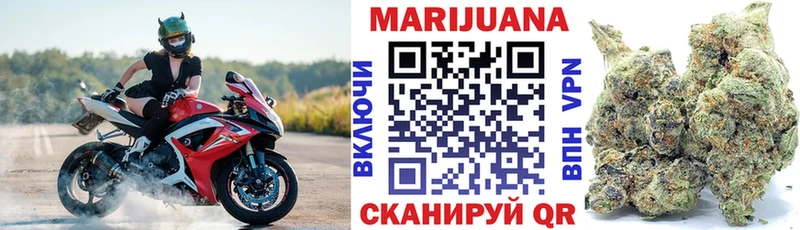 Бошки марихуана гибрид  мега как зайти  Берёзовка 